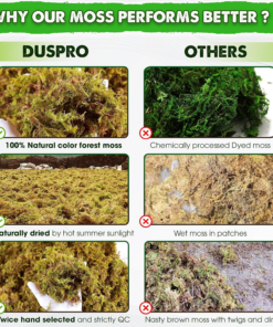 5 LBS Real Dried Forest Moss for Potted Plants, Plant Propagation - Image 6