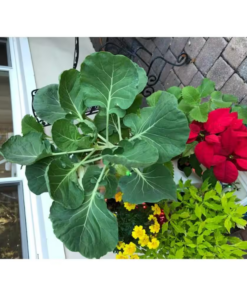 24-Plant Vertical Hydroponic Garden Tower System - Image 6
