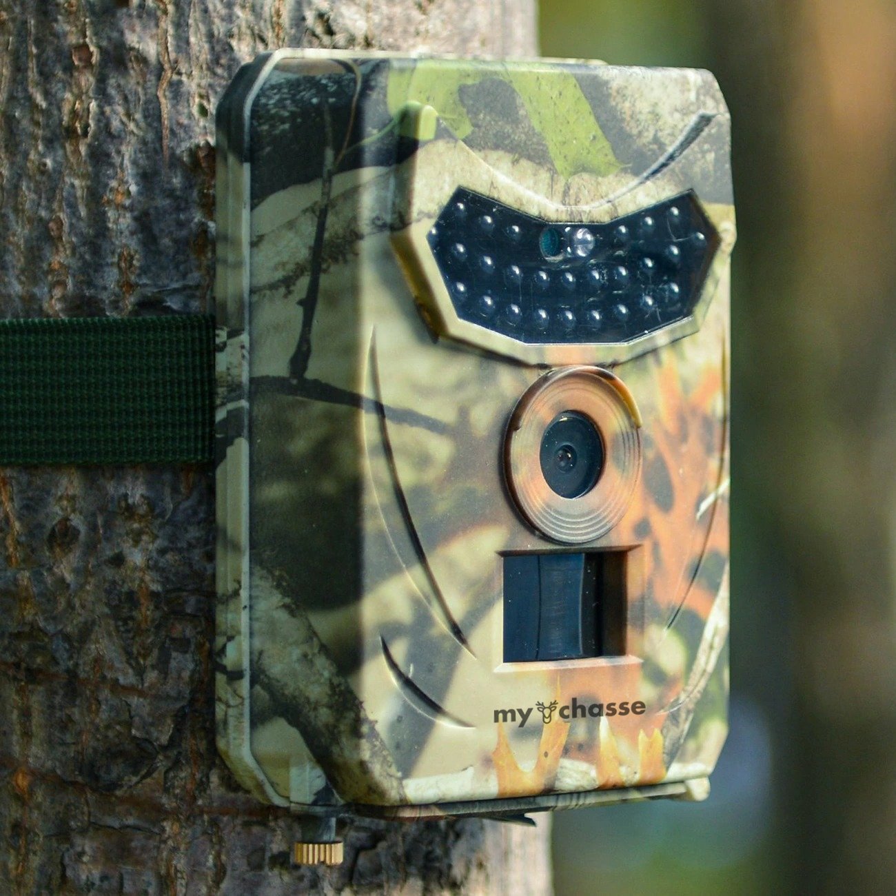 Forestry security camera - Image 8