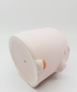 Indoor Balcony Green Plant Yellow Duck Pig Small Flower Pot - Image 4