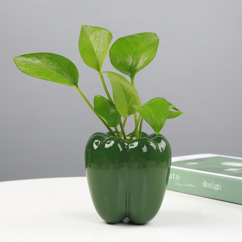 Creative Ceramic Hydroponic Pothos Planter Decorative Ornaments - Image 10