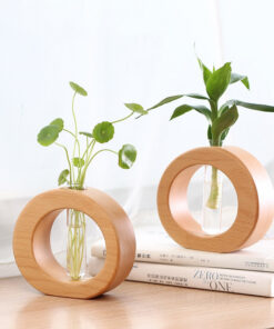 Flower Arrangement Glass Vase Hydroponic Ornament