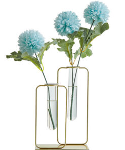 Transparent glass hydroponic green dill vase