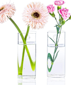 Alternative view of Square Glass Propagation Vase 2 Pack, Wall Hanging Hydroponic Planter