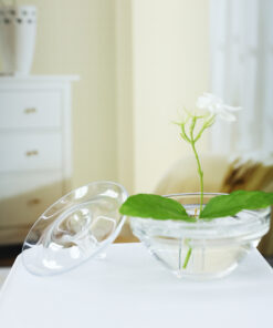 Alternative view of Creative Hydroponic Container Floating Flower Vase