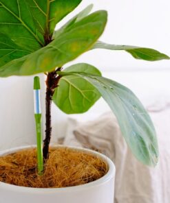 Alternative view of Potted Soil Moisture Sensor Irrigation Checker