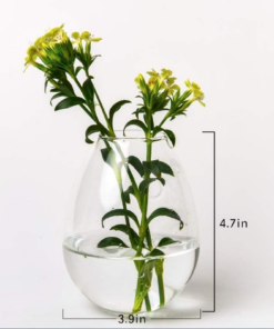 Egg Shaped for Propagating Hydroponic Plants 4 Pack Wall Planter - Image 4