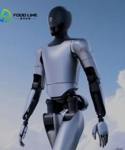 Alternative view of Customized Advanced Bipedal Robot with Autonomous Navigation and 5G Connectivity for Smart Building Services