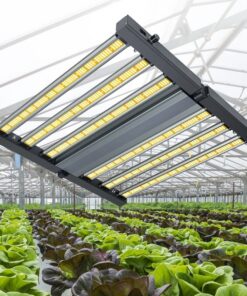 240W320W Plant Grow LED Lights, New Model For Indoor Use
