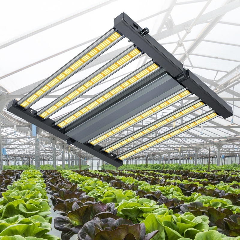 240W320W Plant Grow LED Lights, New Model For Indoor Use