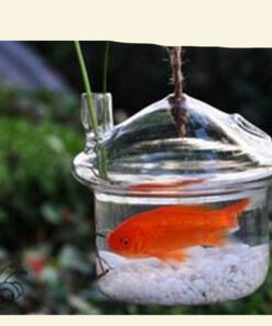 Alternative view of Creative Plant Hydroponic Glass Fish Tank Bottle