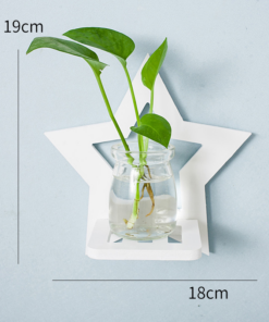 Creative Wall Hanging Wall Hydroponic Vase Hanging Transparent Flower Pot - Image 5