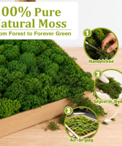 Alternative view of Preserved Reindeer Moss, Dark Green, 1.1 Lb Real Moss for Crafts and Decor
