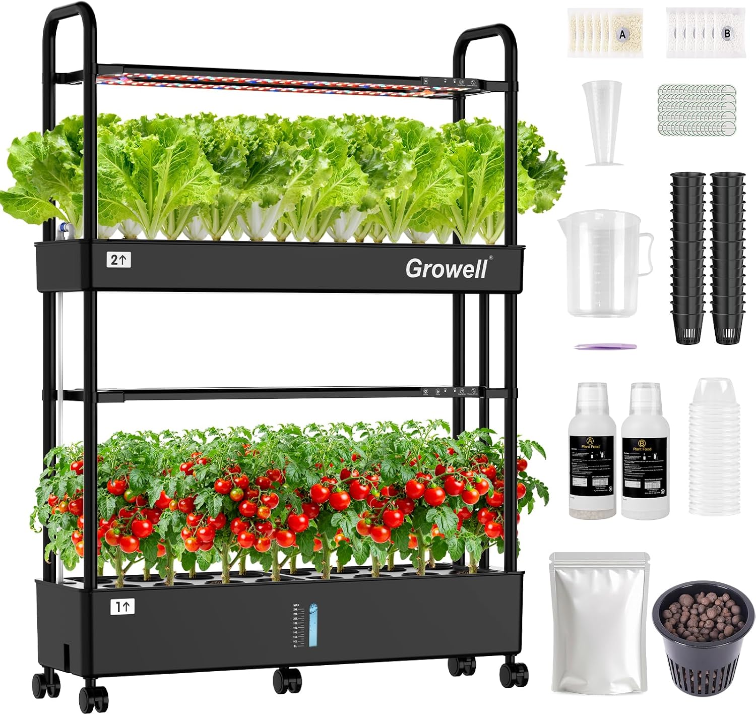 Large Basket Hydroponics Growing System Kit, 32 Pods Vertical Hydroponic Garden with 2 Grow Light Modes, Auto Circulating Water System, 32L Indoor Gardening System for Herb Vegetable Fruit