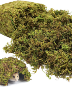 1.3LB Natural Moss Artificial Fake Moss Alternative for Plants Indoor