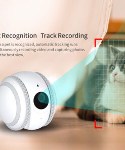 Alternative view of Pet Companion Robot Cat Monitoring