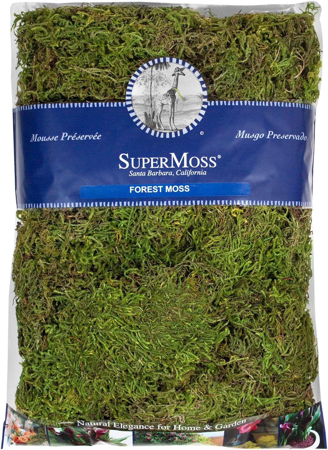 (25323) Forest Moss Preserved - Long-Lasting Natural Moss for Indoor/Outdoor Plants, Crafting, and Home Décor, 534 Cu In, Green