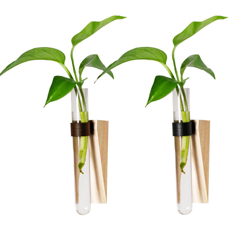 Glass Hydroponic Green Plant Container Wall - Image 2