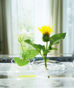 Creative Hydroponic Container Floating Flower Vase
