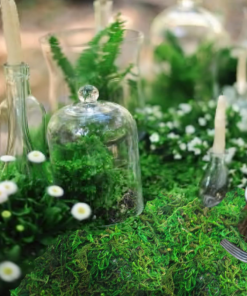 2 Pcs Floral Moss Roll Rug 4" X 48" Dried Moss Mat for Crafts Table Runner Fairy Gardens Wedding Woodland Decor Preserved Green Moss Sheets for Forest Decoration Carpet Grass Wall 10X120Cm - Image 3