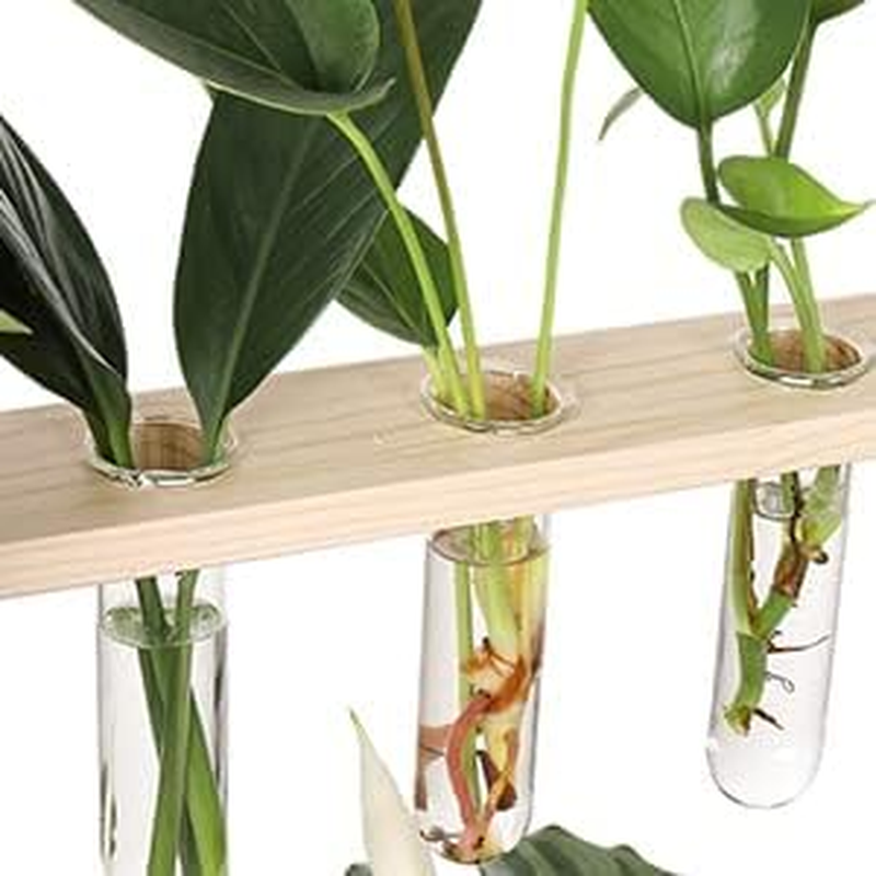 Plant Propagation Glass Test Tubes Accessories (Clear, 4.3 * 1.85) - Image 4