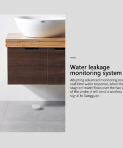Wireless Water Sensor Zigbee Smart Home Manufacturer FCCID Authentication CE Authentication - Image 4