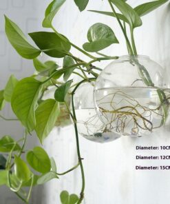 Creative Hydroponic Hanging Transparent Glass Vase - Image 8