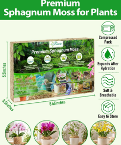 Alternative view of 4OZ Premium Sphagnum Moss for Plants- Natural Long Fiber Plant Moss