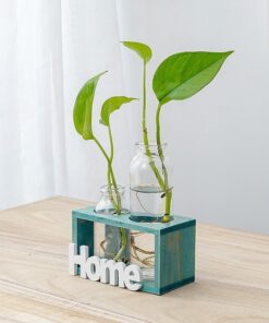 Alternative view of Simple And Fresh Glass Vase Hydroponic