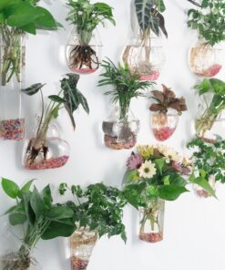 Creative Hydroponic Hanging Transparent Glass Vase - Image 4