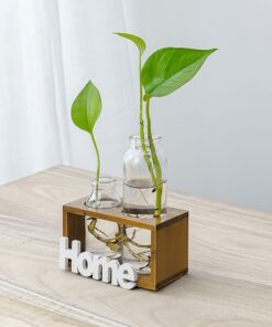 Simple And Fresh Glass Vase Hydroponic