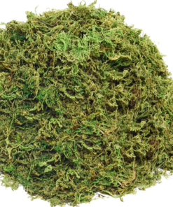 10OZ Fake Moss Artificial Moss for Potted Plants Greenery Mosshome Decor Fairy Garden Crafts Wedding Decoration (Fresh Green)