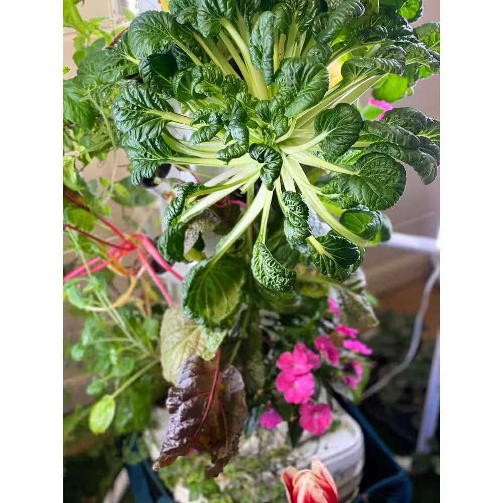 24-Plant Vertical Hydroponic Garden Tower System - Image 4