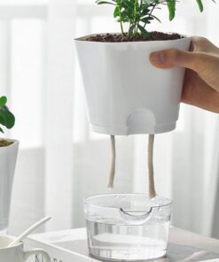 Alternative view of Self-absorbing Hydroponic Plastic Flower Pot